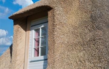 Cove thatch roof disadvantages
