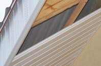 rated Cove soffit repair companies
